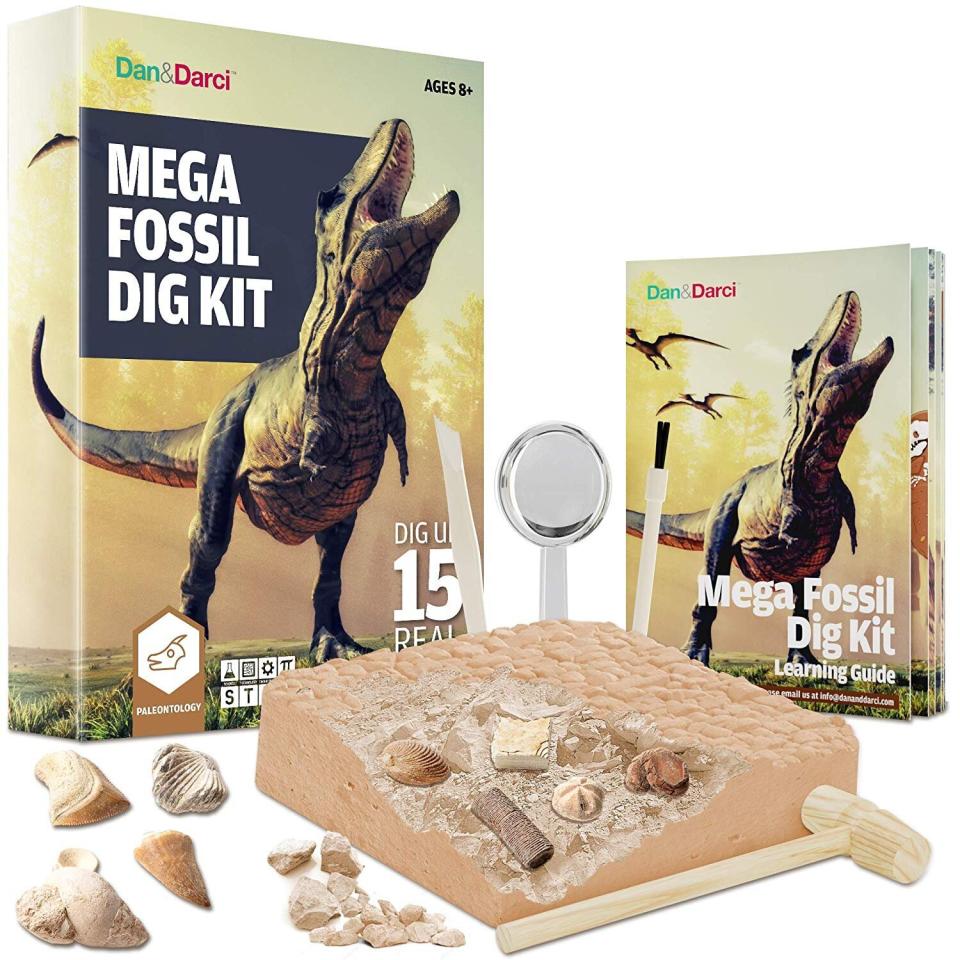 Ross Geller of "Friends" would probably agree that paleontology should be gender-neutral, but for too long interest in dinosaurs has been a boys club. <strong><a href="https://amzn.to/32CCLAx" target="_blank" rel="noopener noreferrer">This fossil digging kit</a></strong> will ignite a love of digging, dusting and researching the best prehistoric finds. <strong><a href="https://amzn.to/32CCLAx" target="_blank" rel="noopener noreferrer">Get it on Amazon</a></strong>.