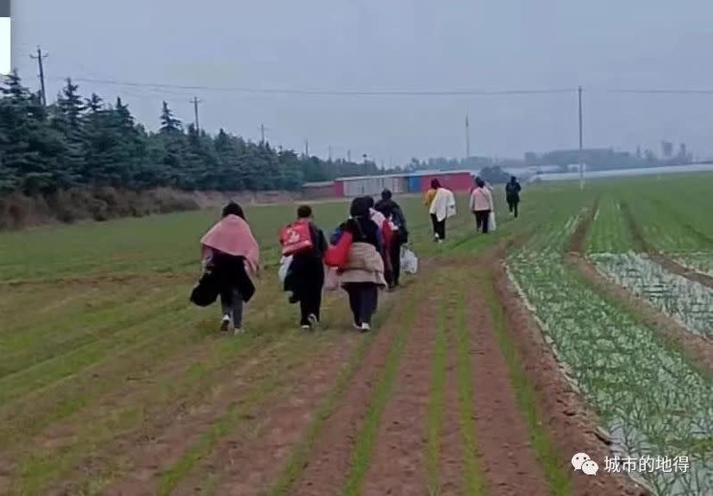 Workers at the Foxconn factory in Zhengzhou, Henan have returned home on foot on a large scale due to the complete failure of the epidemic prevention policy in Zhengzhou, Henan.  Figure: Taken from Weibo (file photo)