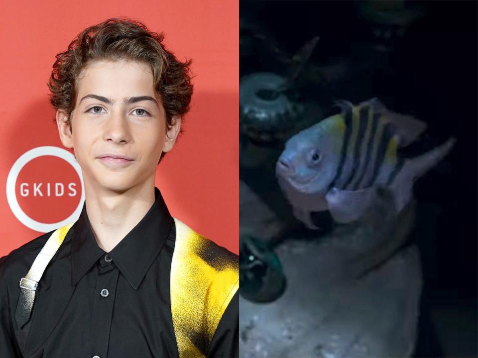 On the left: Jacob Tremblay in October 2022. On the right: Flounder in the 2023 live-action film "The Little Mermaid."