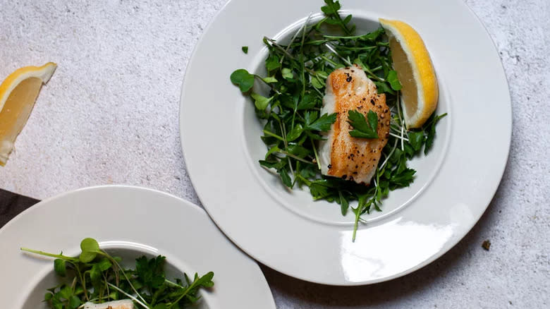 Sea bass fillet with microgreens