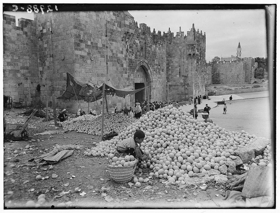A black and white photo of a child kneeling at the base of a large pile of oranges.