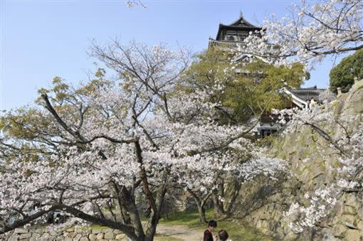 日本賞櫻受疫情影響，不少旅客因此取消預訂行程。（圖／雄獅旅遊提供）