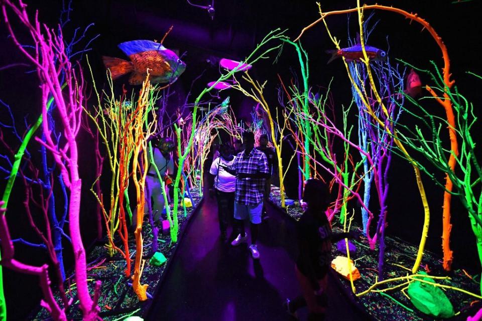 Meow Wolf, New Mexico