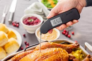 WORLD'S FIRST ONE-SECOND INSTANT READ THERMOMETER, THERMAPEN ONE IS A MUST  FOR EVERY FOOD LOVER'S GIFT GUIDE