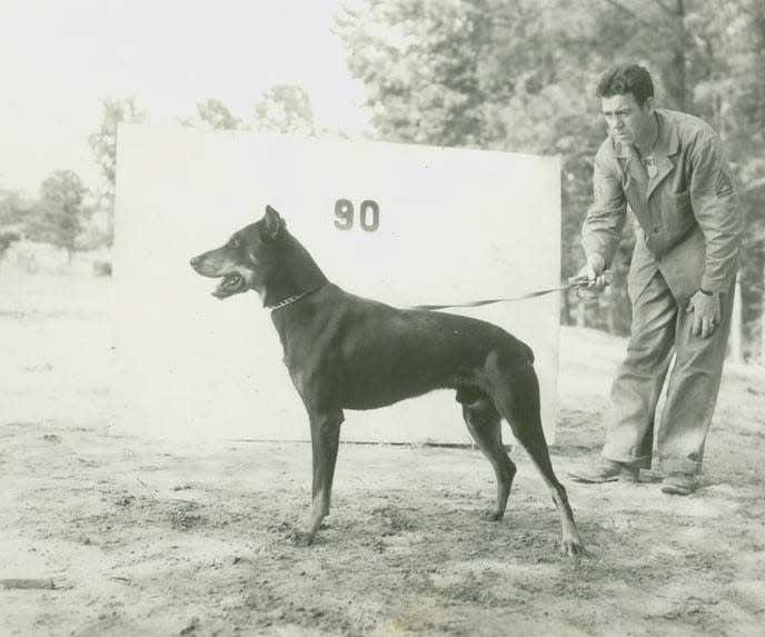 A "Dogs for Defense" recruit, Butch poses with his handlers. The dog was one of the Marine Corps canine recruits, being trained for action in World War II.