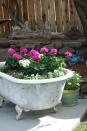 <p>Instead of showering yourself with water in this clawfoot tub, shower your bright and colorful flowers. The spacious mouth is big enough that you won't have to pick and choose which plants you want to put in it.</p><p><a rel="nofollow noopener" href="http://deborahjeansdandelionhouse.blogspot.com/2013/04/pickn-good-garden-art.html" target="_blank" data-ylk="slk:See more at Dandelion House »;elm:context_link;itc:0;sec:content-canvas" class="link "><em>See more at Dandelion House »</em></a></p>