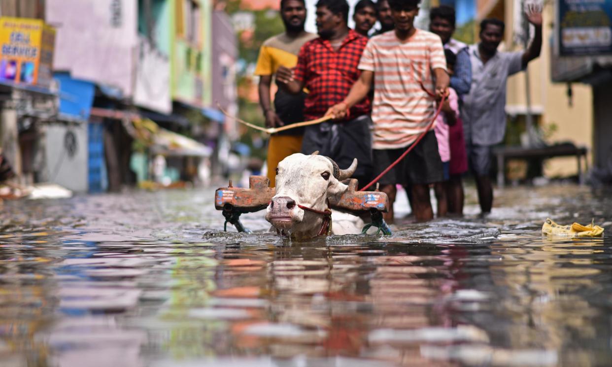 <span>Floods continue to hit India. Last last year during Cyclone Michaung, several areas including Chennai were hit by severe floods.</span><span>Photograph: Idrees Mohammed/EPA</span>