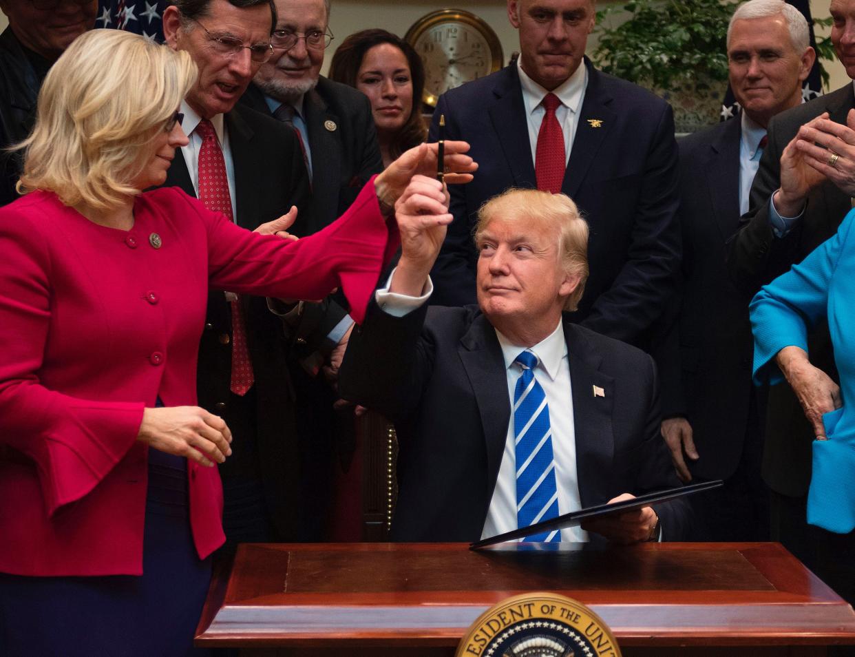 In 2017 Cheney watched Trump sign measures overturning a series of Barack Obama protections  (AFP via Getty Images)