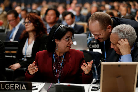 Participants attend the COP24 U.N. Climate Change Conference 2018 in Katowice, Poland December 11, 2018. Agencja Gazeta/Grzegorz Celejewski via REUTERS