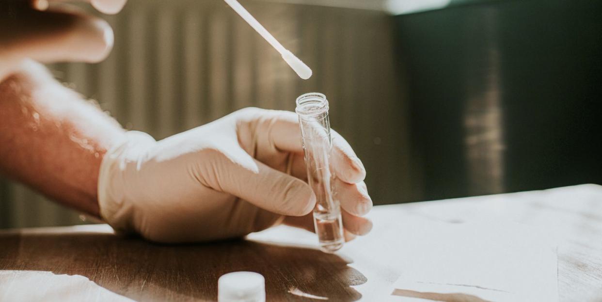 a hand wearing a latex glove holds a small clear tube and dips a cotton swab into the liquid space for copy