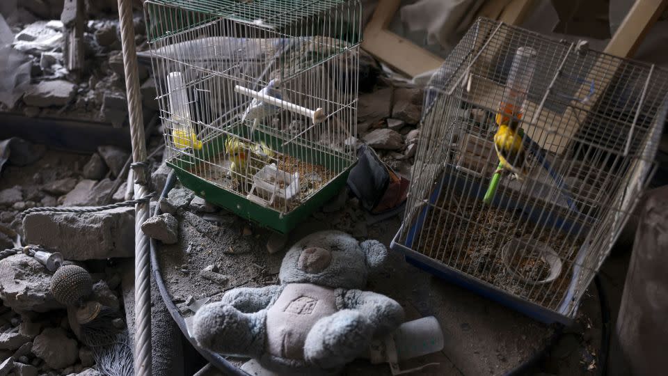 Caged birds that survived overnight Israeli shelling are seen in a damaged apartment in the city center of Khan Yunis, in the southern Gaza Strip on Tuesday. - Said Khatib/AFP via Getty Images