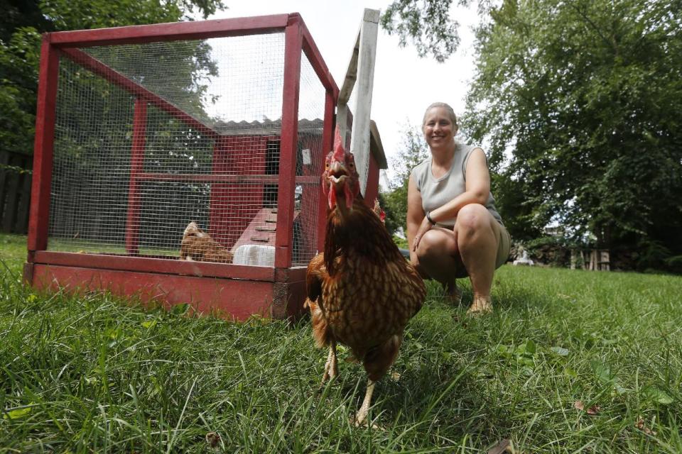 In this Sunday, Aug. 11, 2013 photo, Sandy Schmidt, who owns a portable chicken coop, poses with her chickens at her home in Silver Spring, Md. "Eat local" is the foodie mantra, and nothing is more local than an egg from your own backyard. More and more urban and suburban dwellers are deciding to put up a coop and try chicken farming. (AP Photo/Charles Dharapak))