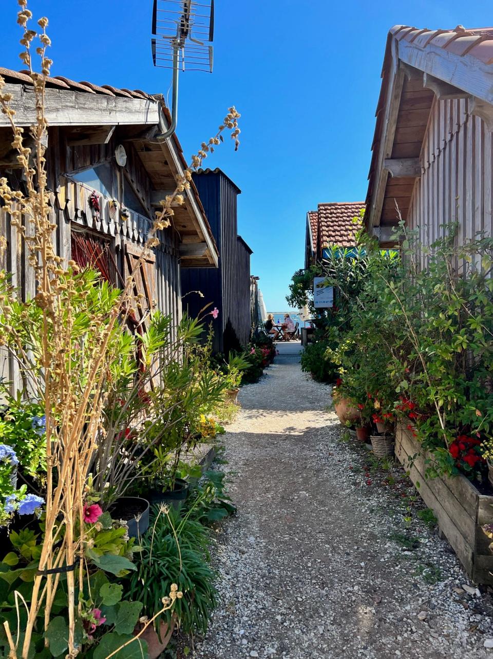 Alleyway with plants in Cap-Ferret, France