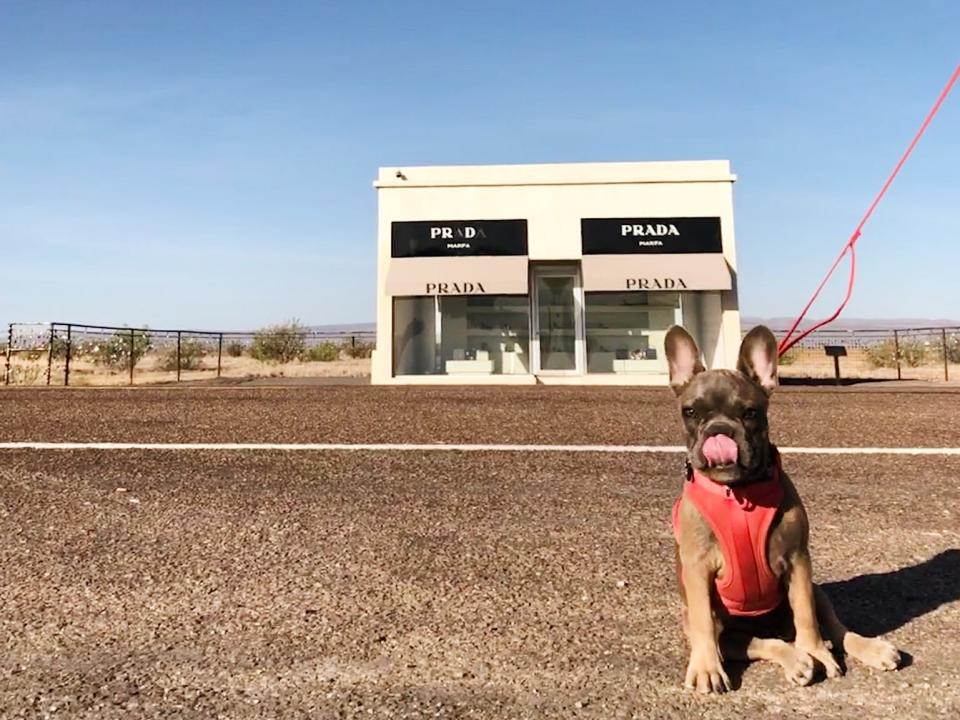 Outside of the Prada Marfa contemporary art museum. Daniel Modlin West Texas winter travel