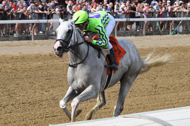 Former claimer Next wins Friday's 1 3/4-miles Birdstone Stakes at Saratoga. Photo by Chelsea Durand, courtesy of New York Racing Association