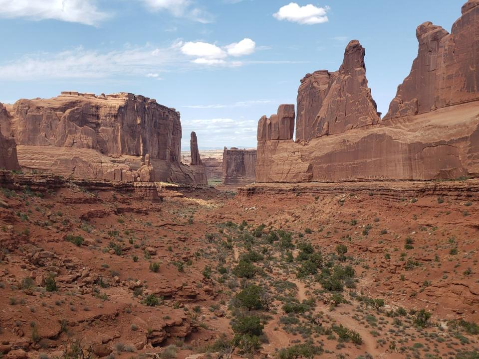 Weather-sculpted sandstone in Arches National Park (Simon Veness and Susan Veness)