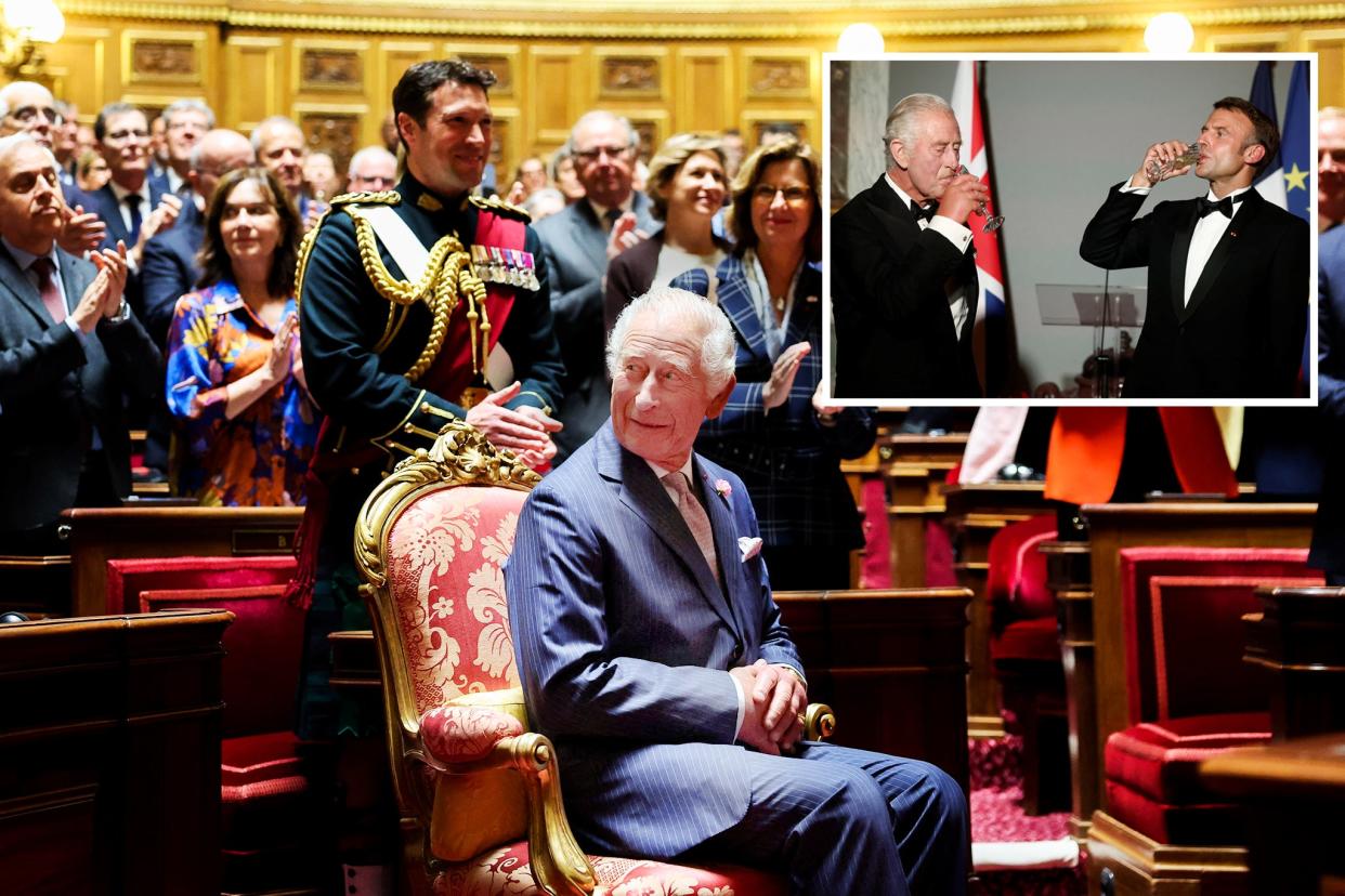 King Charles addresses the Senate (Reuters)