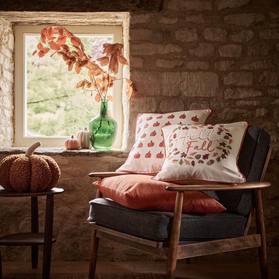 <p>Nothing says autumn like a fun pumpkin-printed cushion. Jazz up your sofa or bed with George Home's collection of scatter cushions, available in varying prints and designs. </p><p><a class="link " href="https://direct.asda.com/george/home/all-new-in/D26M25G01C01,default,sc.html" rel="nofollow noopener" target="_blank" data-ylk="slk:SHOP NOW;elm:context_link;itc:0;sec:content-canvas">SHOP NOW</a></p>