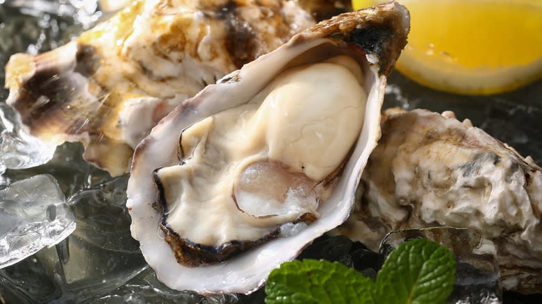 Close-up of a shelled oyster