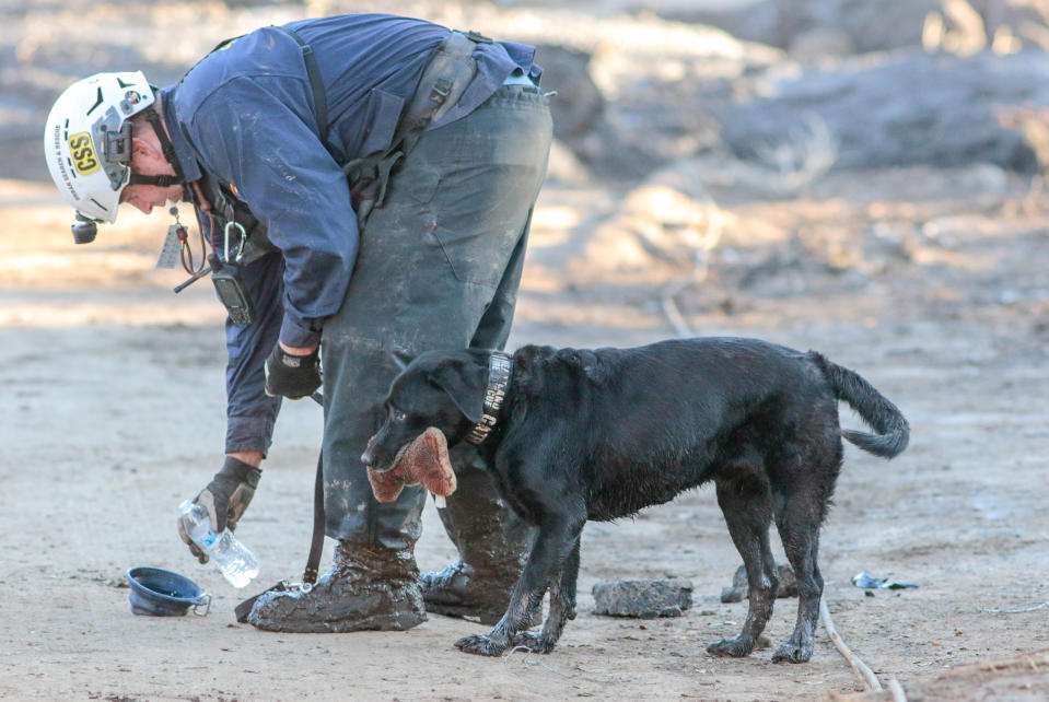 <p>A search and rescue worker gives water to a search dog after a mudslide in Montecito, Calif., Jan. 11, 2018. (Photo: Kyle Grillot/Reuters) </p>