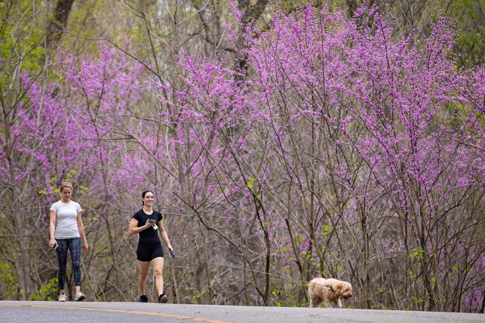 Cherokee Park in Louisville is a favorite spot for exercise -- both human and canine. April 7, 2020