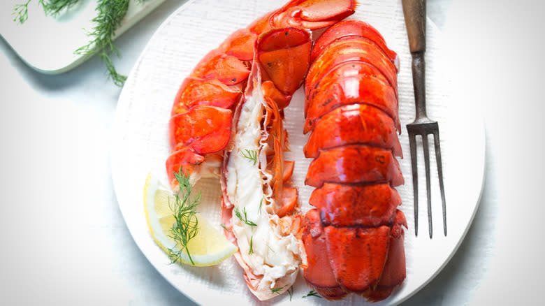 Steamed lobster tail on plate 