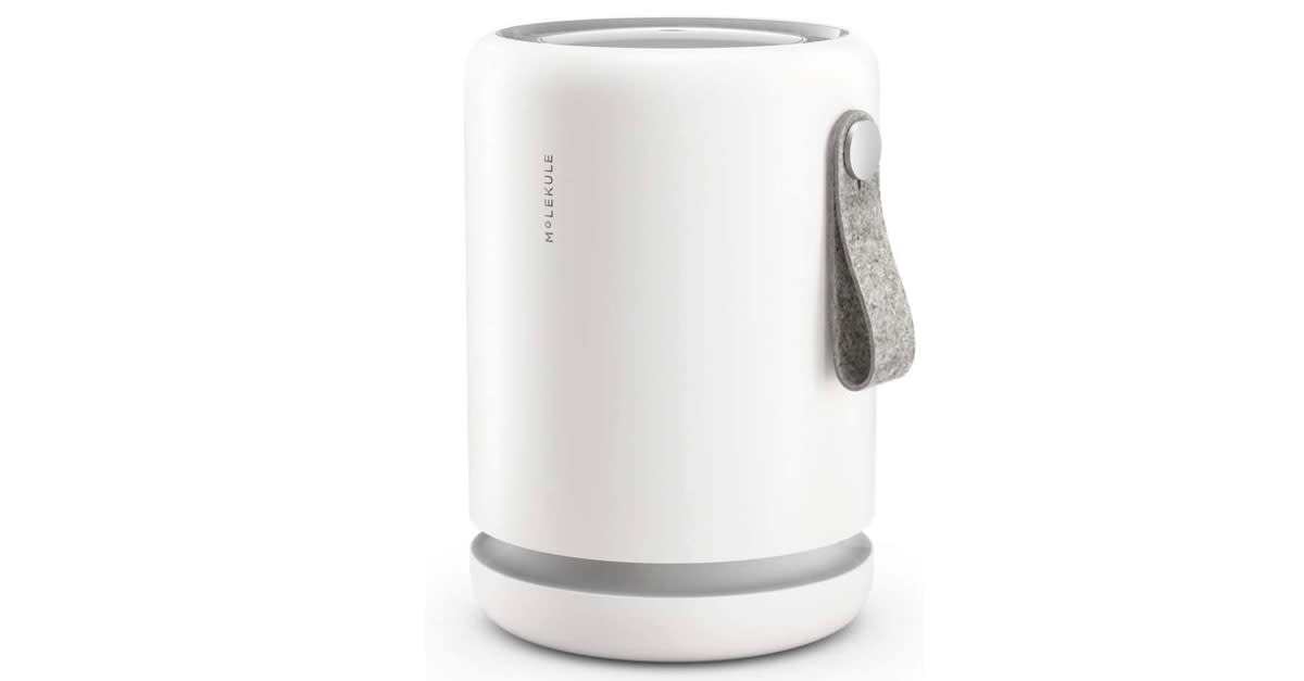 Molekule Air Mini Small-Room Air Purifier (Photo: Amazon)