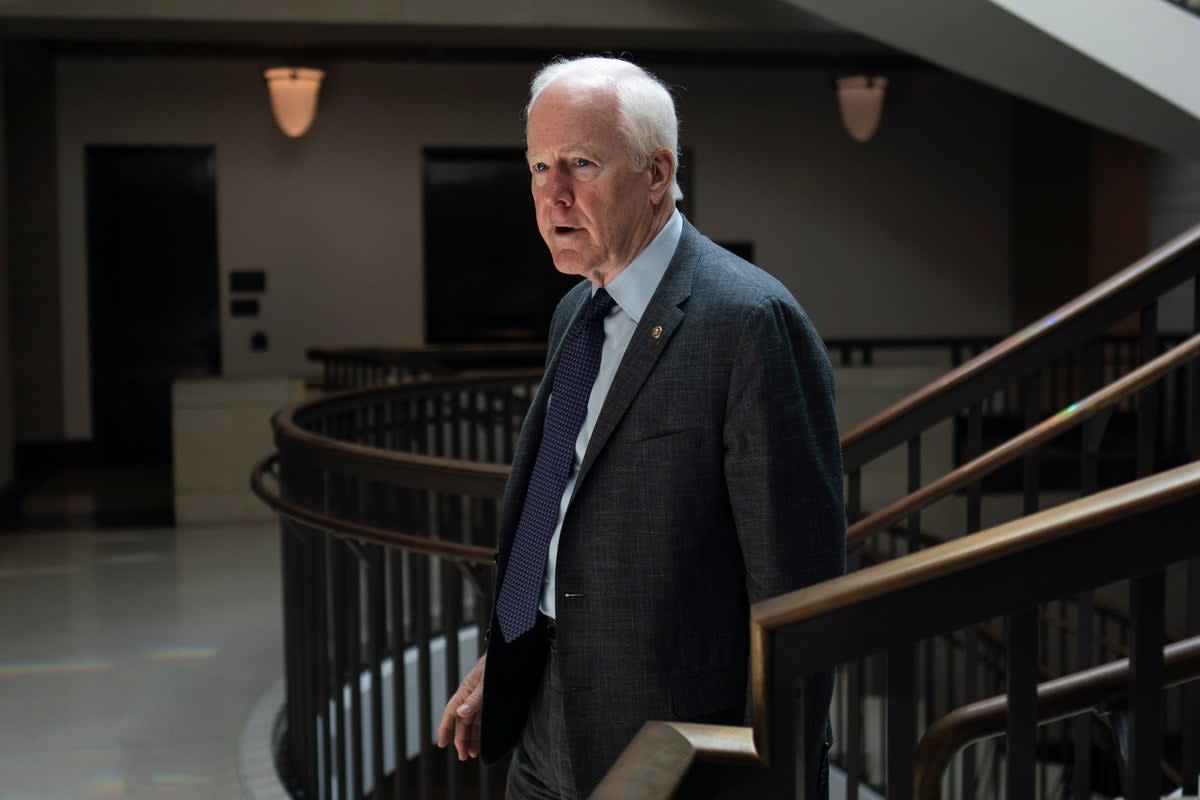 John Cornyn is the senior US senator from Texas (EPA)