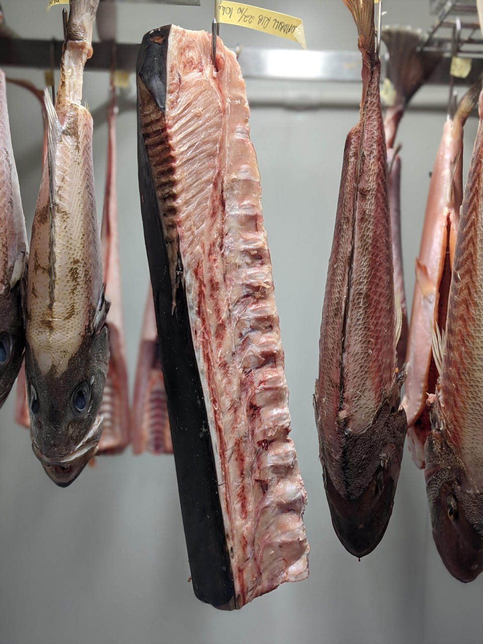 fish dry aging