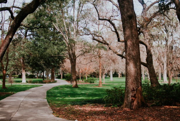 <p>Unsplash</p><p>Savannah was established in the early 1700s and still has many colonial buildings throughout the city. Stroll through Forsyth Park where the Spanish moss drooping from massive oak trees forms a love tunnel to set the mood for your anniversary, then check into the <a href="https://go.skimresources.com?id=113896X1572730&xs=1&url=https%3A%2F%2Fwww.tripadvisor.com%2FHotel_Review-g60814-d522605-Reviews-Mansion_on_Forsyth_Park-Savannah_Georgia.html&sref=https%3A%2F%2Fparade.com%2F1002608%2Fmarynliles%2Fbest-anniversary-getaways%2F" rel="noopener" target="_blank" data-ylk="slk:Mansion on Forsyth Park;elm:context_link;itc:0;sec:content-canvas" class="link ">Mansion on Forsyth Park</a>, a lovingly restored Victorian-Romanesque building.</p>