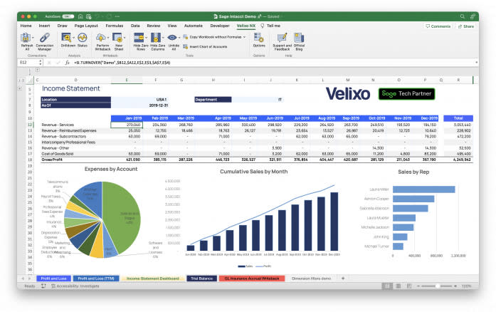 Velixo for Sage Intacct Screenshot