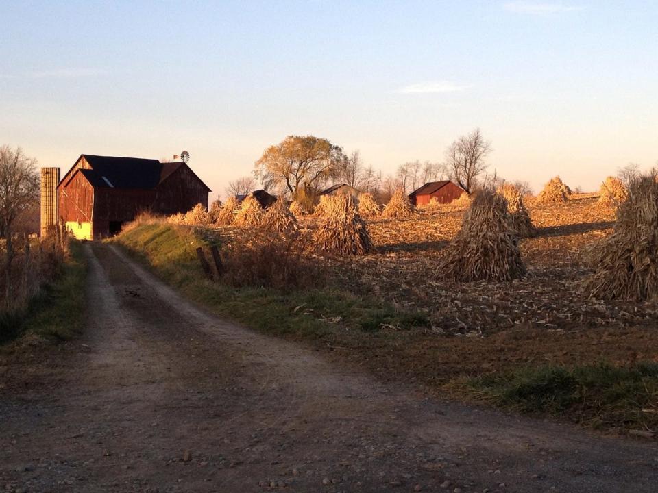 Harvest time on an Amish farm in Holmes County