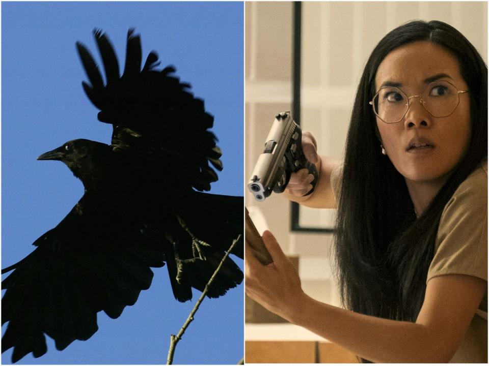 A crow and Ali Wong in ‘Beef’ (Getty, Netflix)
