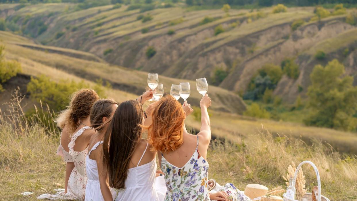 shoot from back the company of gorgeous female friends having fun, cheers and drink wine, and enjoy hills landscape picnic