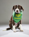 <p>Team: Ruff<br> From: AHeinz57 Pet Rescue<br> (Photo: Animal Planet) </p>