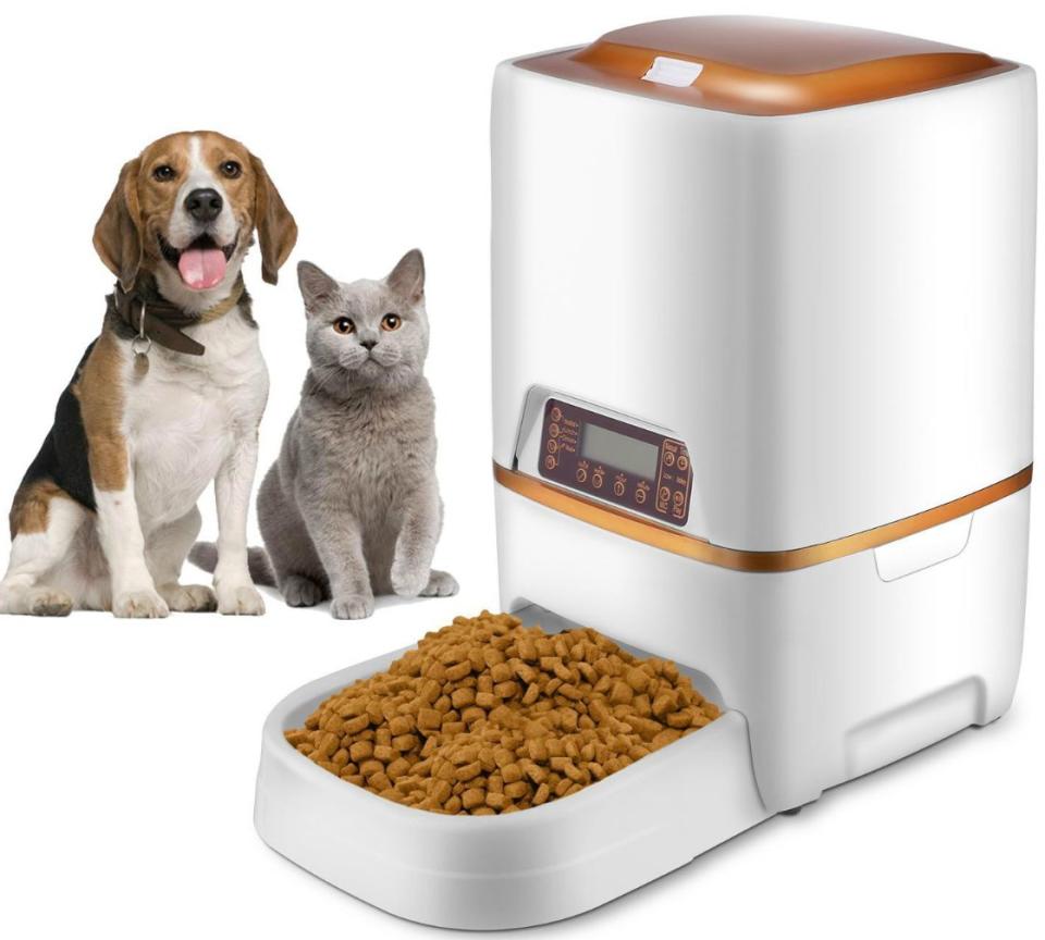 This automatic pet food dispenser comes with a programmable timer. (Photo: Walmart) 
