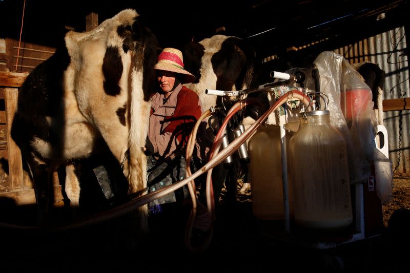 The Wider Image: In Mexico, a decade of images shows Mennonites' traditions frozen in time