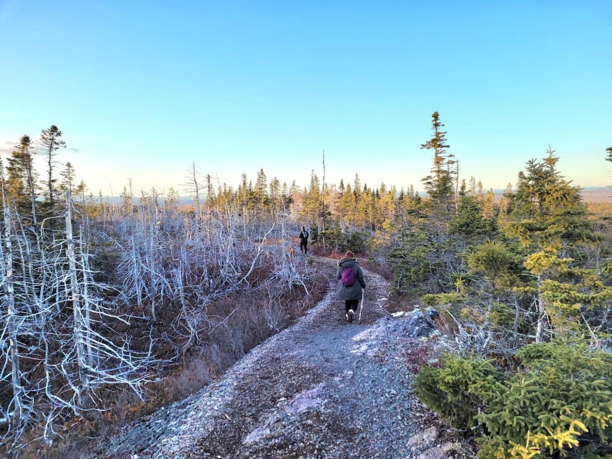 Coxheath is a residential and rural area on the outskirts of Sydney, Nova Scotia. Nova Copper, a local mining exploration company, wants to buy 400 hectares of public land to search for copper.  (Brittany Wentzell, CBC News - image credit)