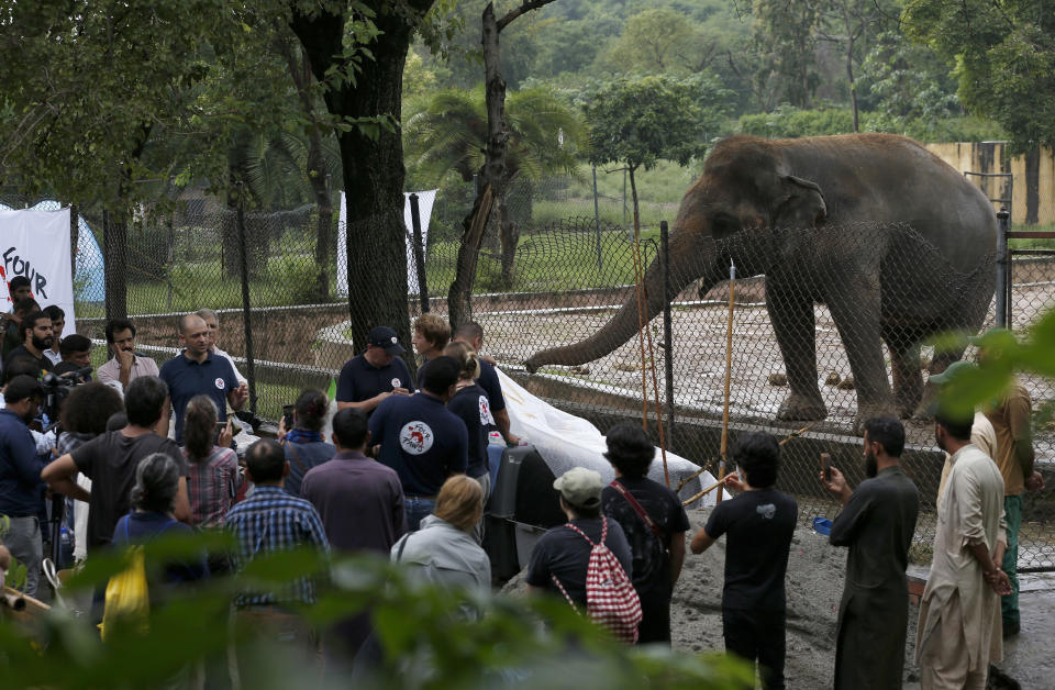 A team of veterinarians from the international animal welfare organization 'Four Paws' briefs media prior to examining an elephant 'Kaavan' at Maragzar Zoo in Islamabad, Pakistan, Friday, Sept. 4, 2020. The team of vets are visiting Pakistan to assess the health condition of the 35-year-old elephant before shifting him to a sprawling animal sanctuary in Cambodia. A Pakistani court had approved the relocation of an elephant to Cambodia after animal rights activists launched a campaign. (AP Photo/Anjum Naveed)