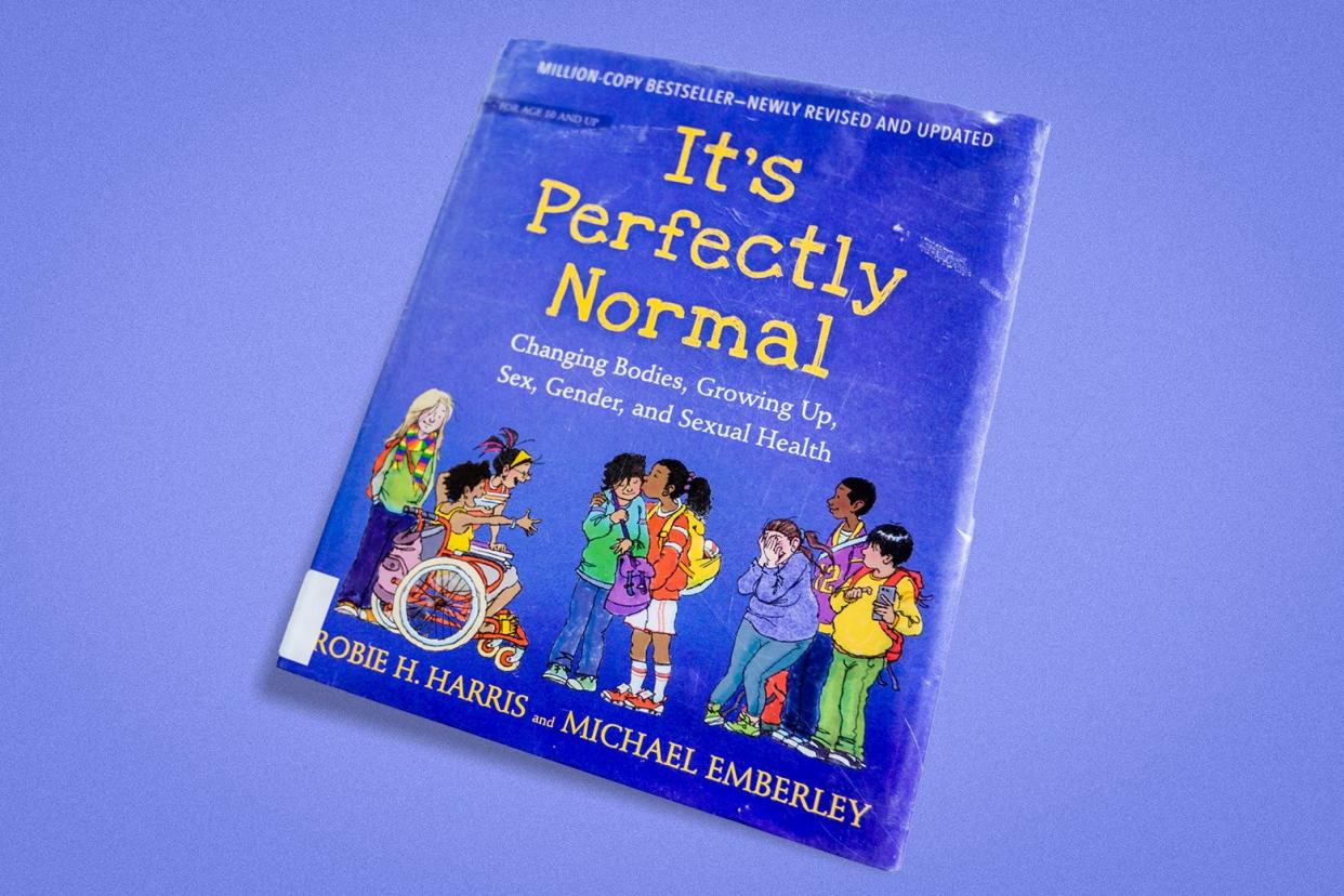 The cover of the book It's Perfectly Normal has a variety of cartoon teens.