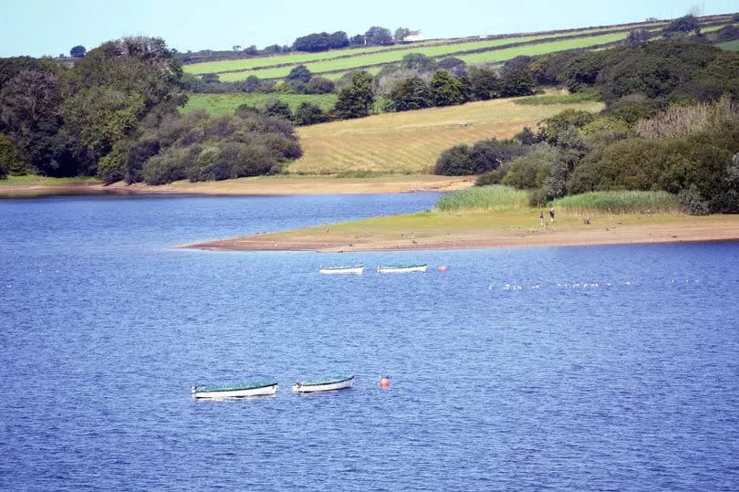 Llys-y-Fran reservoir in Pembrokeshire -Credit:WalesOnline/Rob Browne