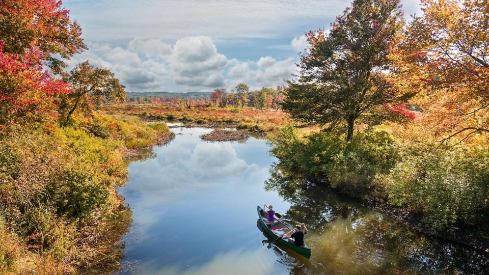 Litchfield, Conn.