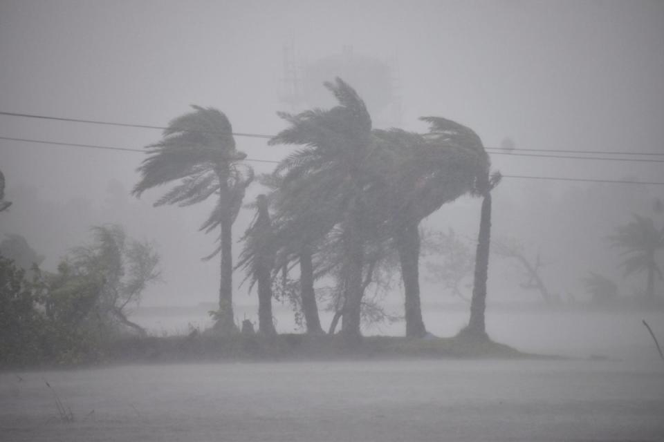 Trees swing in heavy winds and rains caused by cyclone Remal at Bakkhali in West Bengal (AP)