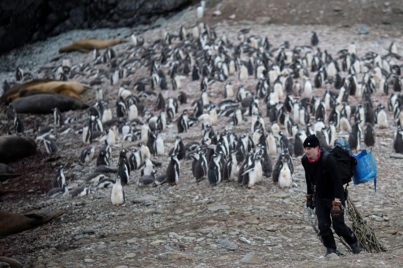 The Wider Image: On board the Antarctic expedition that reveals dramatic penguin decline