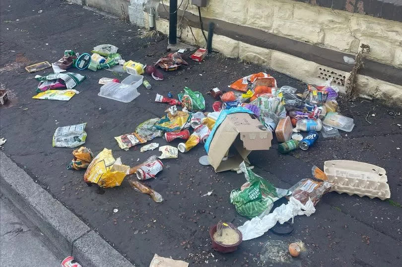 Food waste on Cranbrook Street on Wednesday afternoon. -Credit:Charlotte Wright