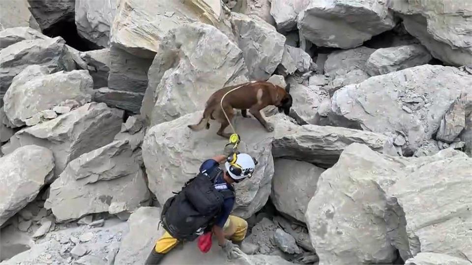 汪汪隊立大功！6搜救犬挺進險峻災區　展現專業能力把握黃金時間全力救援