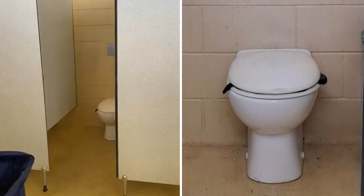 Watch a Live Snake Get Pulled Out of a Toilet