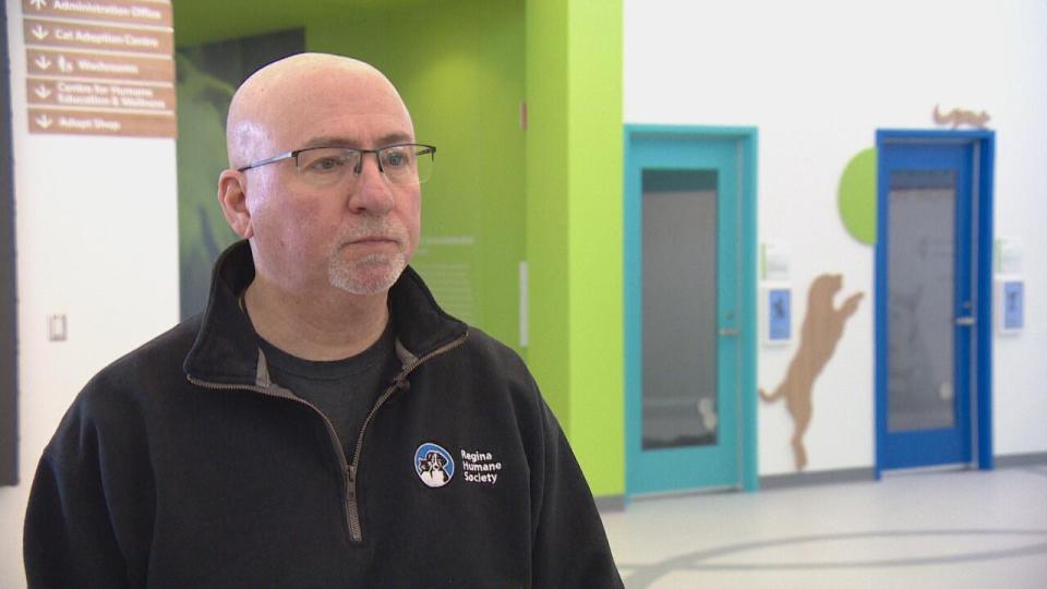 Bill Thorn, director of marketing and communications, said the unprecedented number of dogs at the facility is inching closer to what they can accommodate