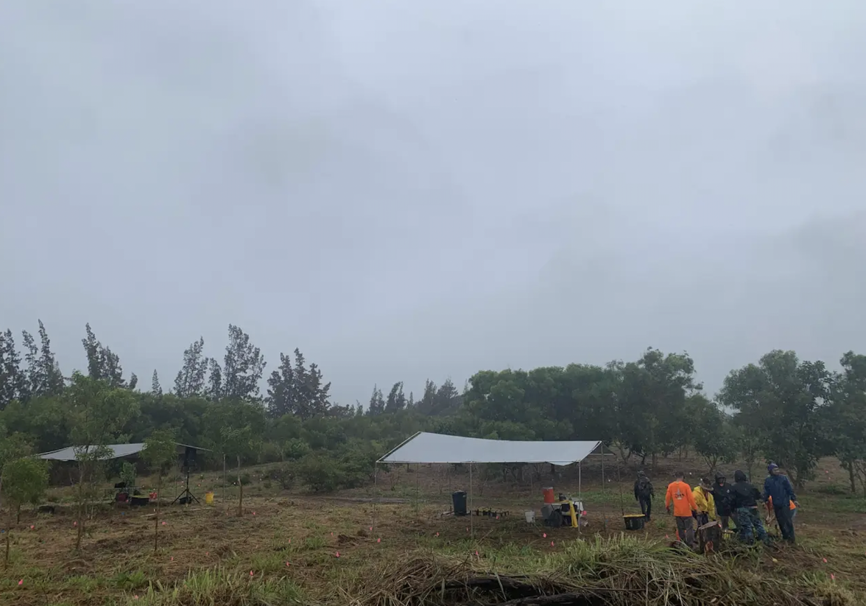 On a gloomy day on Maui, I volunteered with the Puu Kukui Watershed to help plant native trees.