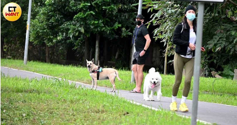 白色薩摩耶犬離去時，艾怡良的男友還忍不住多看了幾眼。（圖／本刊攝影組）